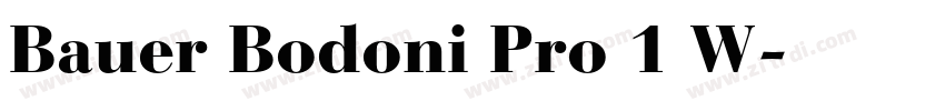 Bauer Bodoni Pro 1 W字体转换